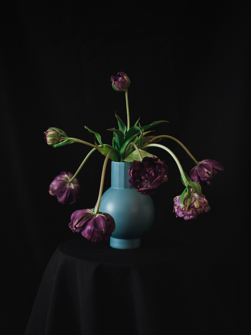 broken flowers tulpen blaue vase 